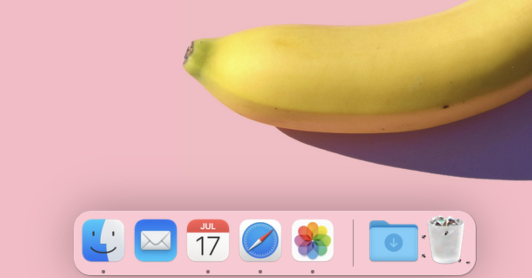 Fecal Forecast: Flies Predict When You’re a Slob