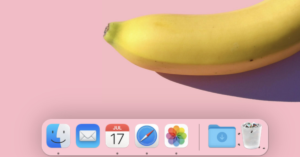 Fecal Forecast: Flies Predict When You’re a Slob