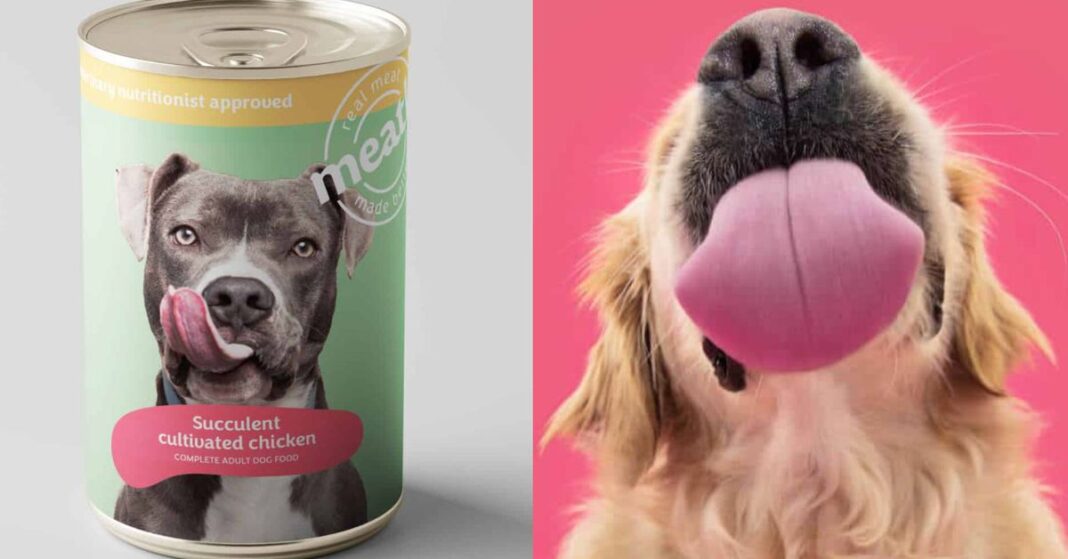 Pet Food Revolution: Flesh of the Future Arrives at Your Doorstep