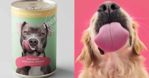 Pet Food Revolution: Flesh of the Future Arrives at Your Doorstep