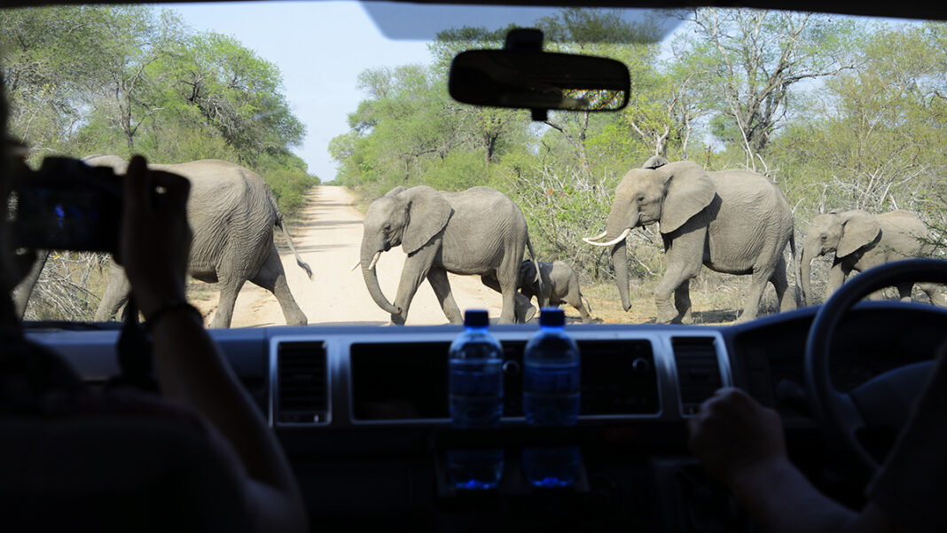 Uber Exposes Africans to Luxury in the Jungle